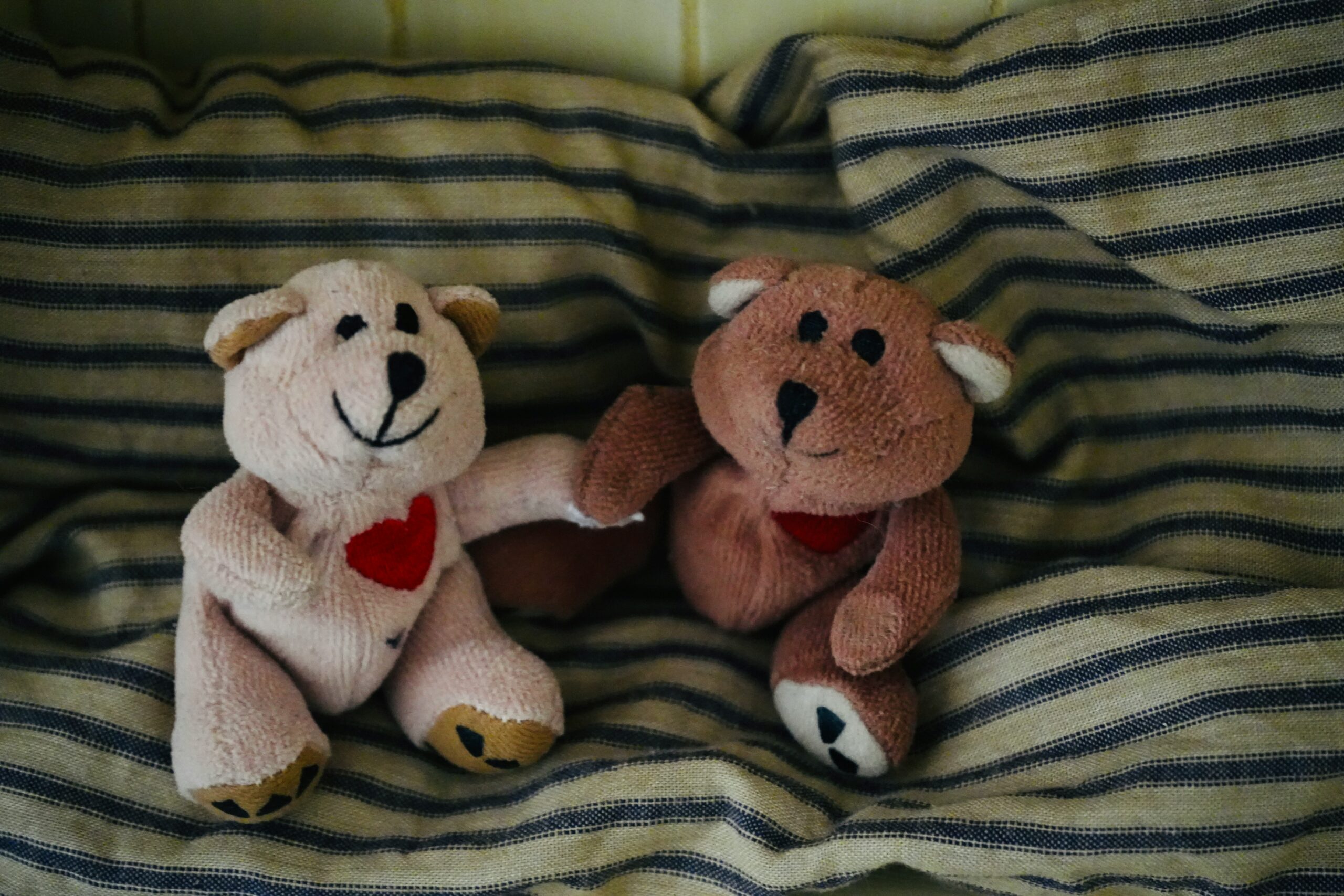 From Hookups to Happily Ever After: Transitioning Casual Connections in the Bear Community